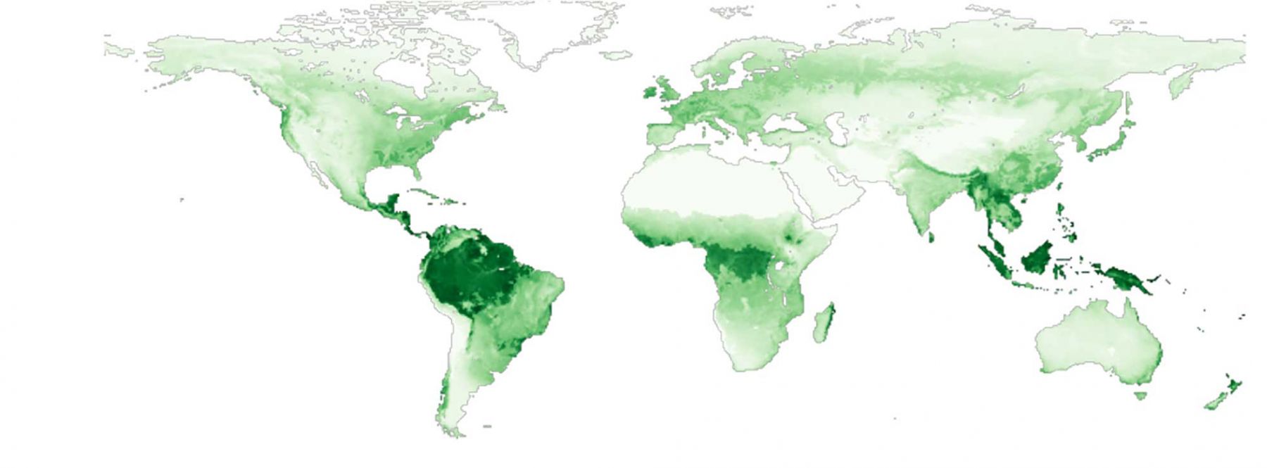 Distribution of global photosynthesis from remote sensing.