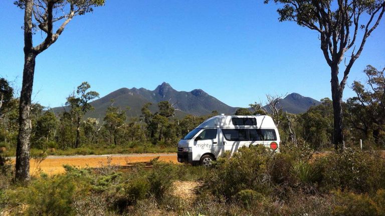 Intraspecific Variation