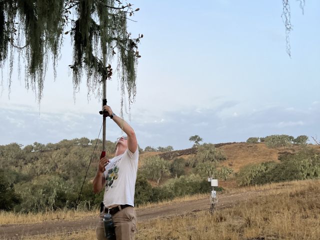 Lee grabbing samples at Sedgwick Reserve