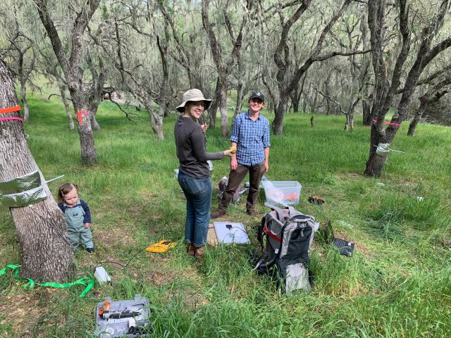 Addie, Maggie, and Jean working at Sedgwick Reserve