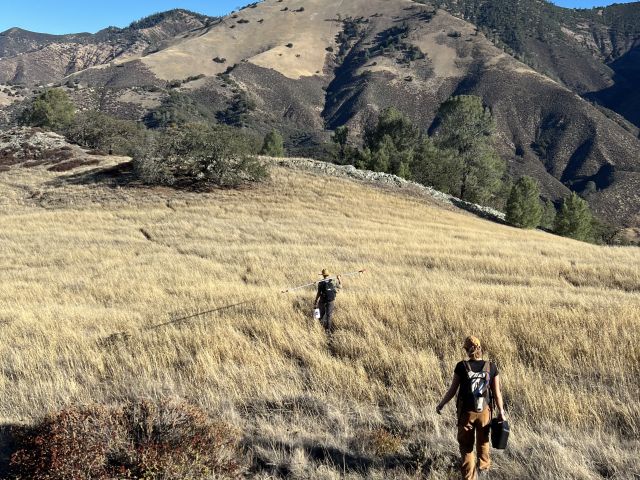 Mike and Michaela collecting samples on Serpentine outcrop at Sedgwick Reserve