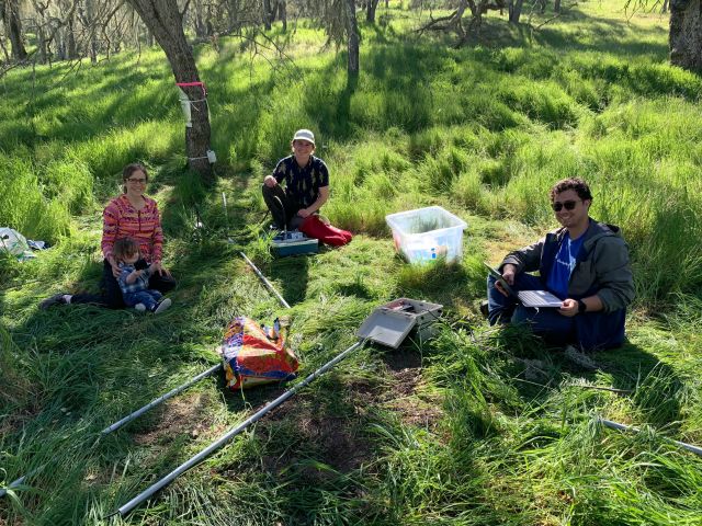 Anna, Addie, Jean, and Ryan working at Sedgwick Reserve