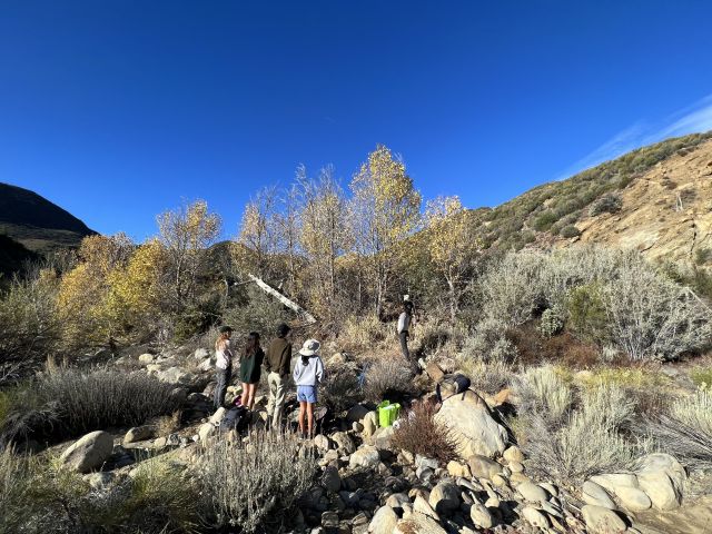 Cottonwood project at Sespe Creek